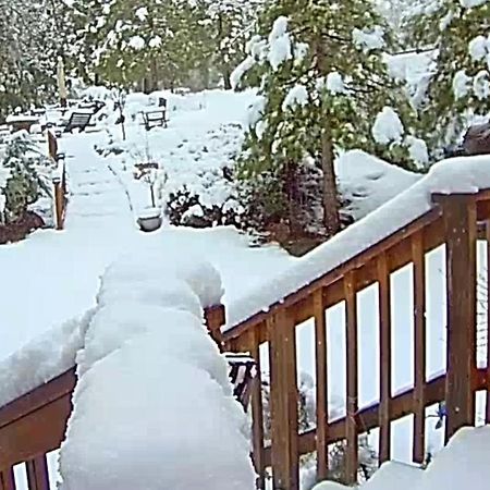 Вилла Yosemite Mountain Retreat Окхерст Экстерьер фото